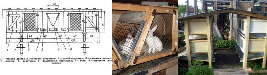 Содержание кроликов в домашних условиях 